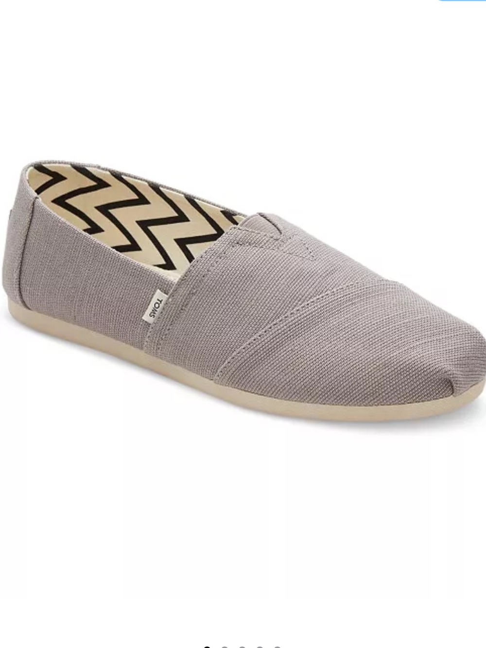 Toms Slip-On Canvas Shoe in Light Gray